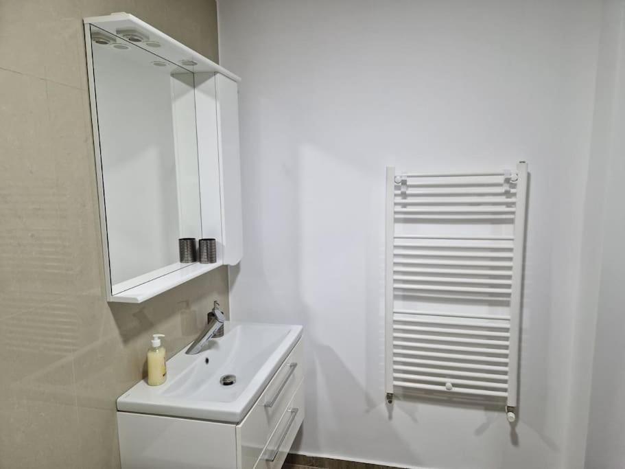 Danube Double Apartment Brăila Екстериор снимка