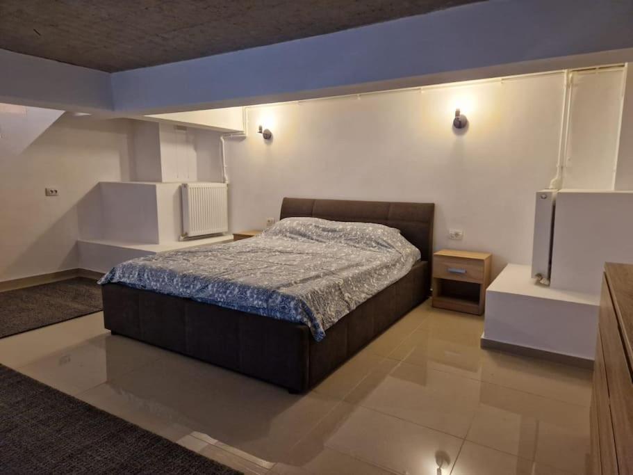 Danube Double Apartment Brăila Екстериор снимка